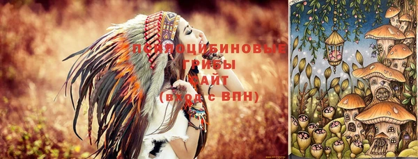 apvp Новокубанск