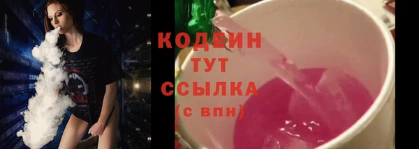 дурь Дегтярск