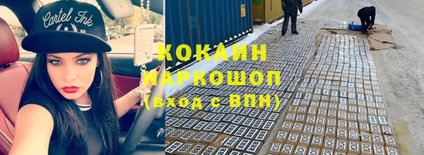 a pvp Новозыбков