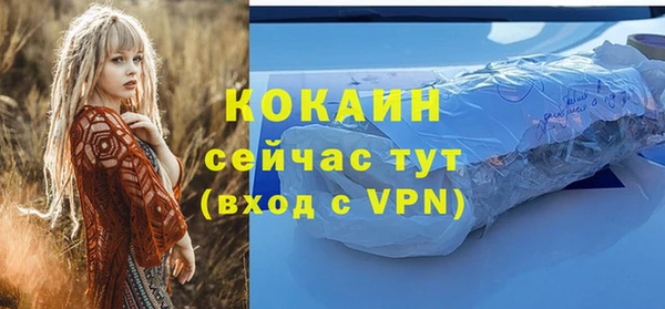 молекула духа Данков