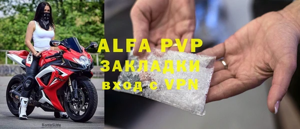 a pvp Новозыбков