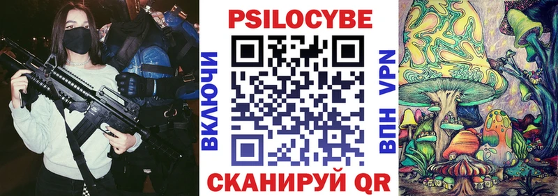 Псилоцибиновые грибы мицелий  наркота  Зея 